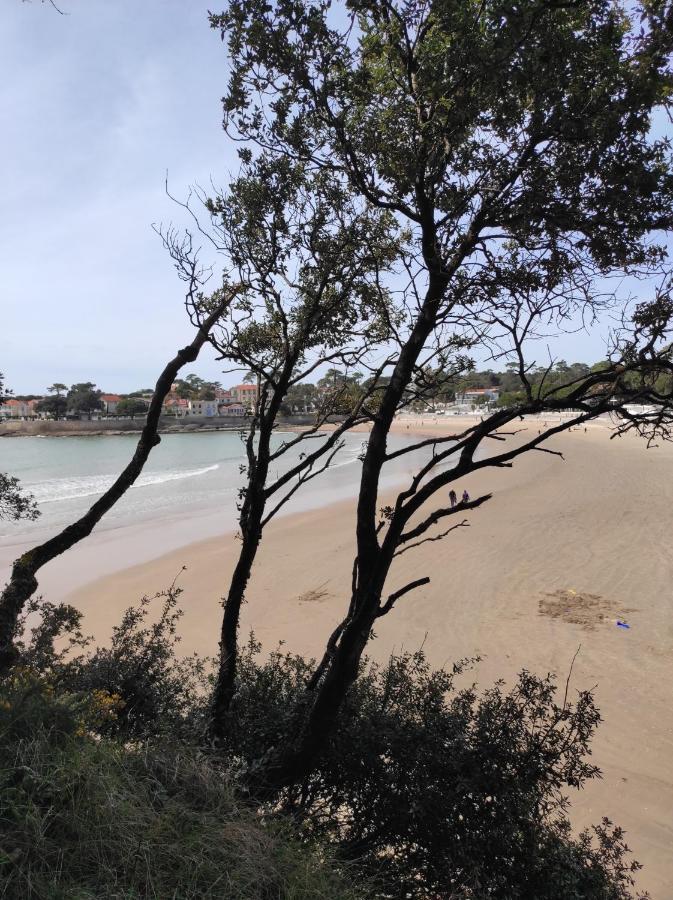 A L'Abordage, Appartement 2 Pieces Plage De Nauzan 福克斯索梅尔 外观 照片